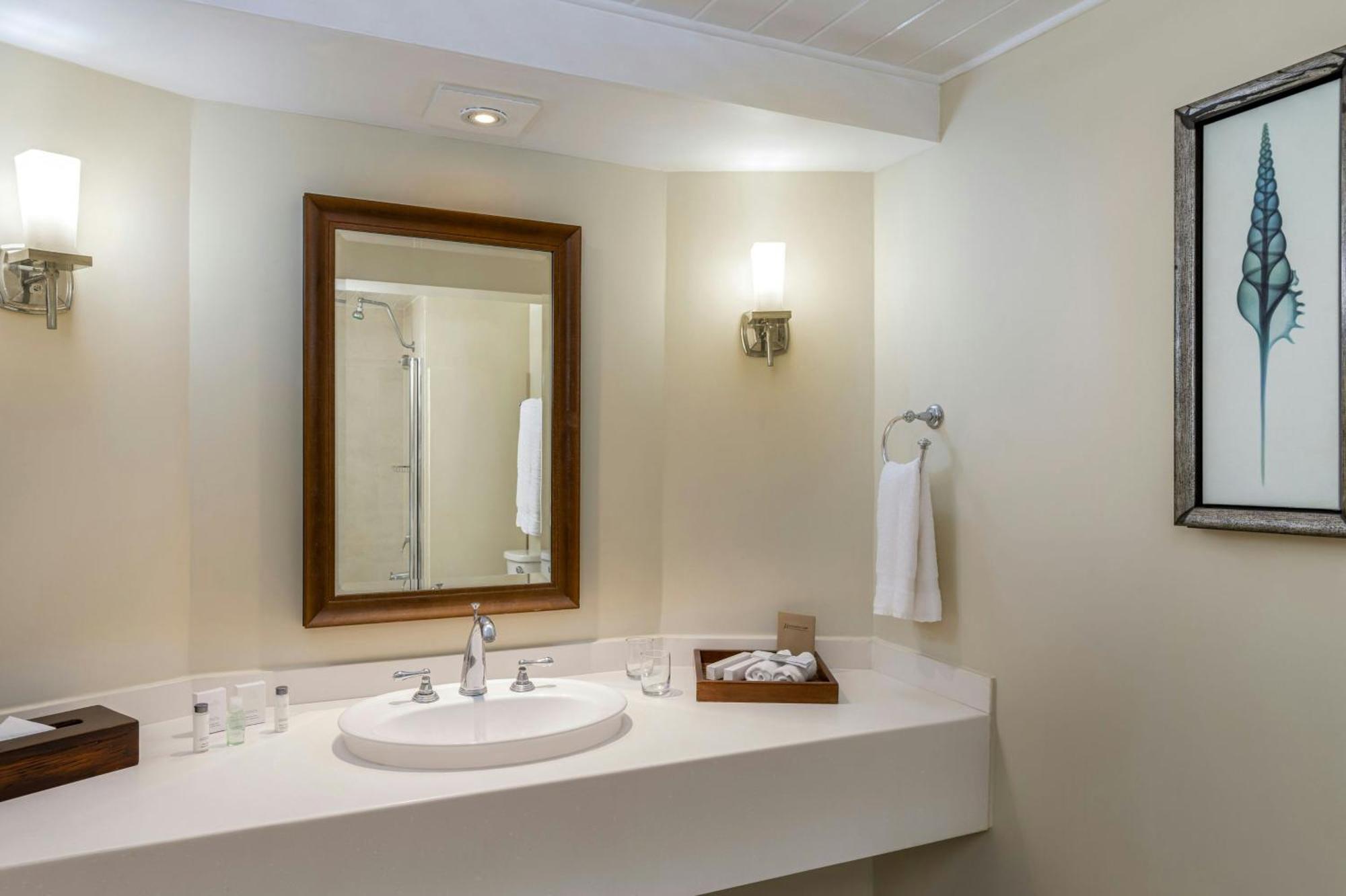 Ocean View, All-Inclusive, 1 Bedroom Suite, 1 King, Sofa bed